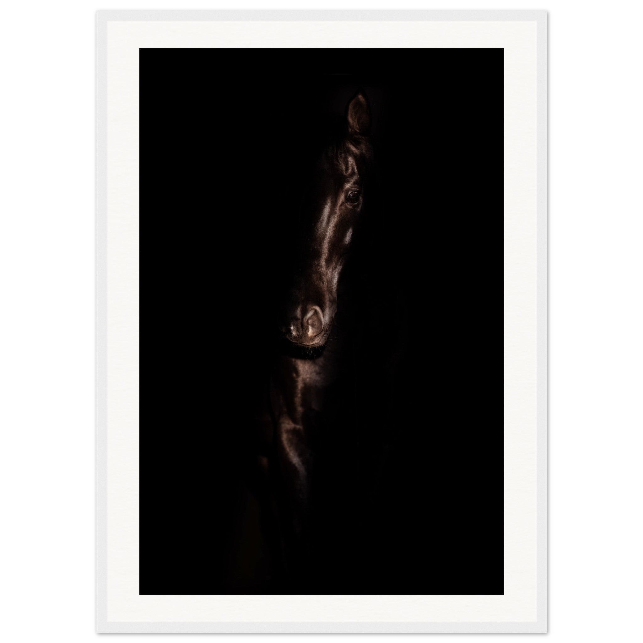 7a493838-5f54-4aae-a340-7ffc875228a1