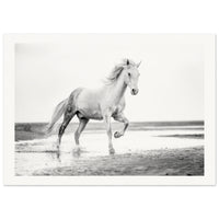 7ad3e4d4-a0ea-4030-b498-a4b39347016e