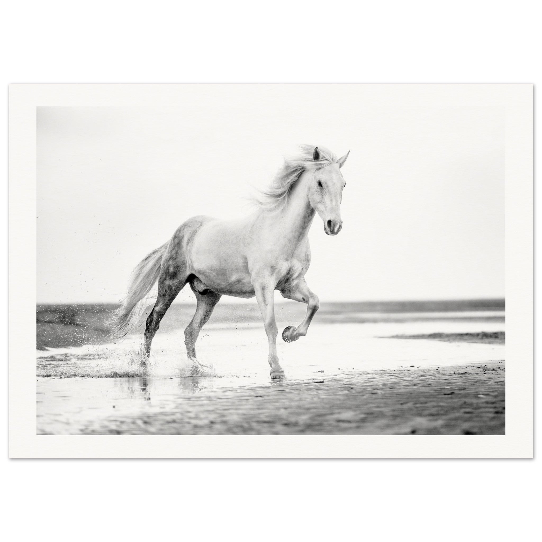 7ad3e4d4-a0ea-4030-b498-a4b39347016e