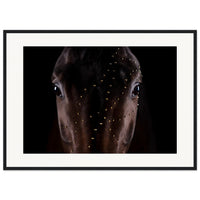 7afcc96c-fa8b-4b27-b859-21f80afea733