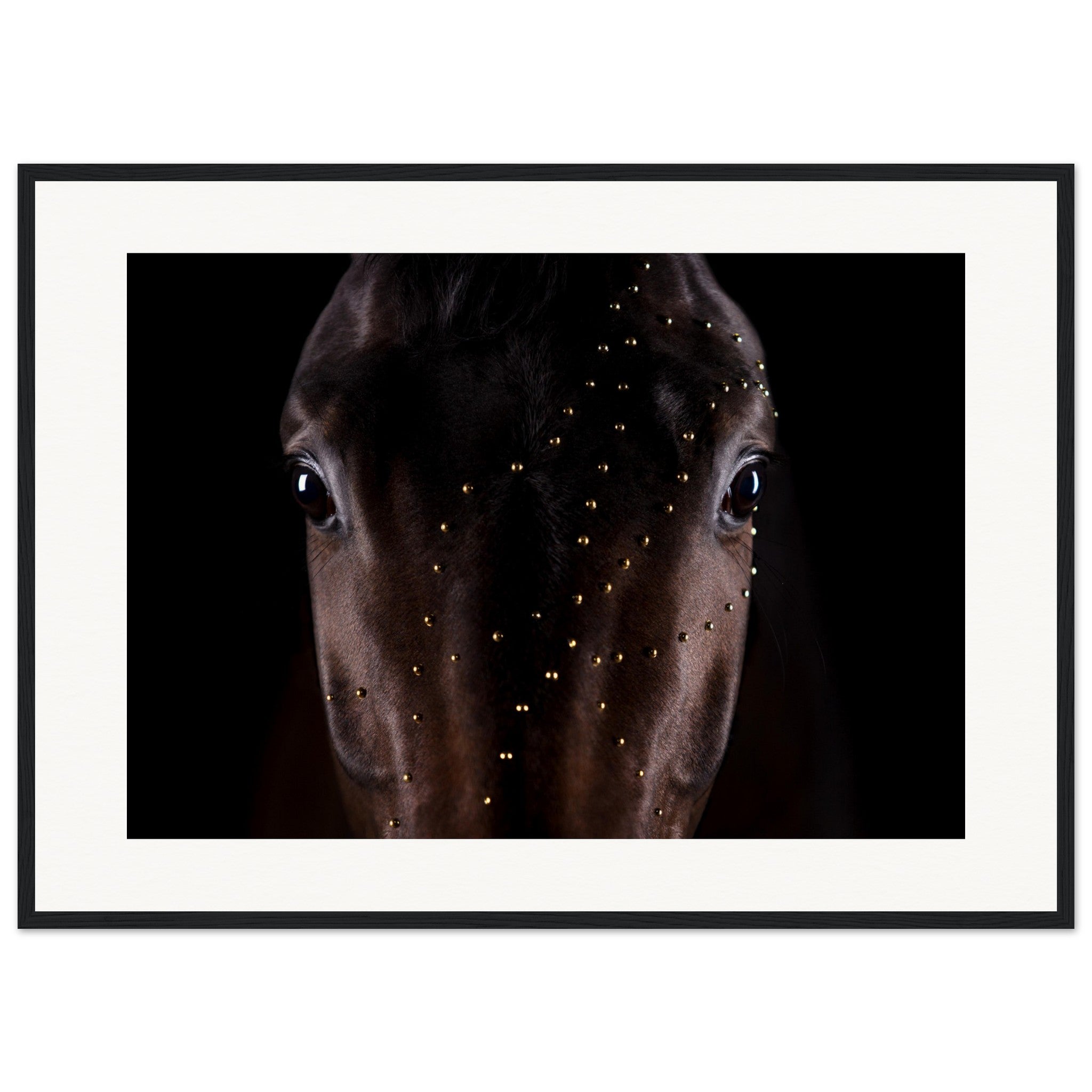 7afcc96c-fa8b-4b27-b859-21f80afea733