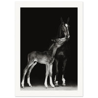 7b0f6290-0480-4254-bb4a-d1f92b1c180a