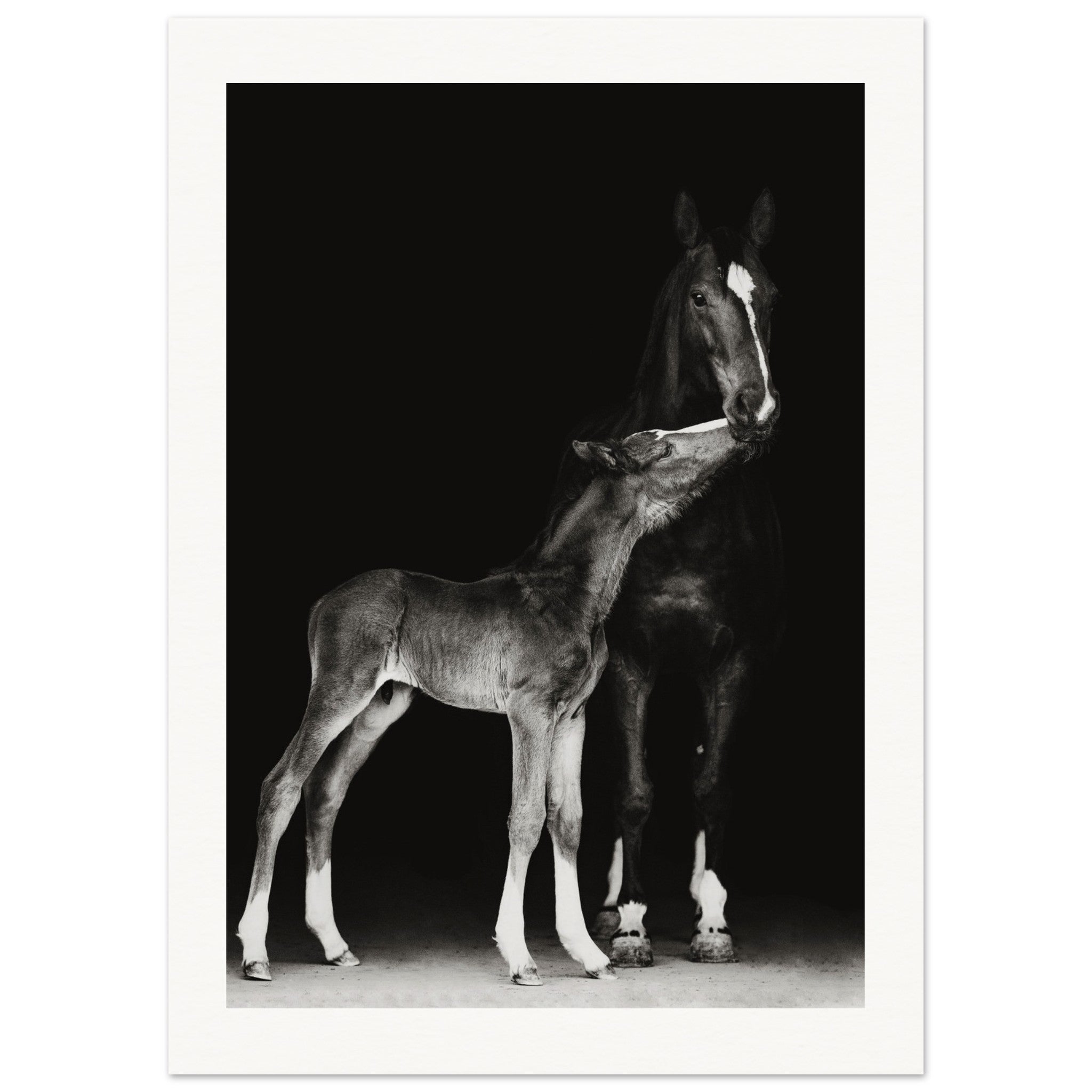 7b0f6290-0480-4254-bb4a-d1f92b1c180a