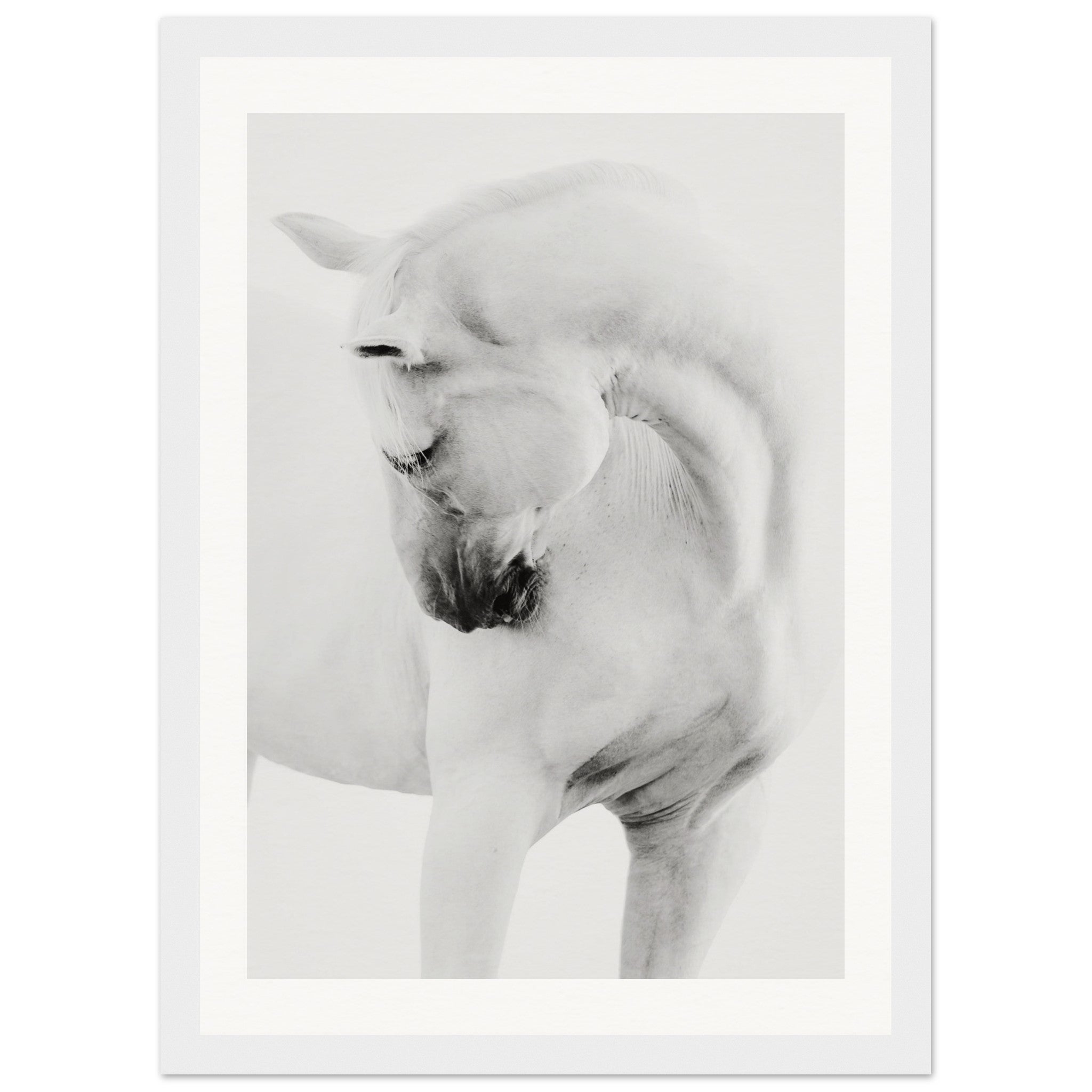 7b2df66b-ea5f-4d8c-b7d9-3286fd762d3a