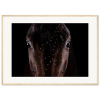 7b671c7d-df45-46a7-bf30-d9b75fa3a72f