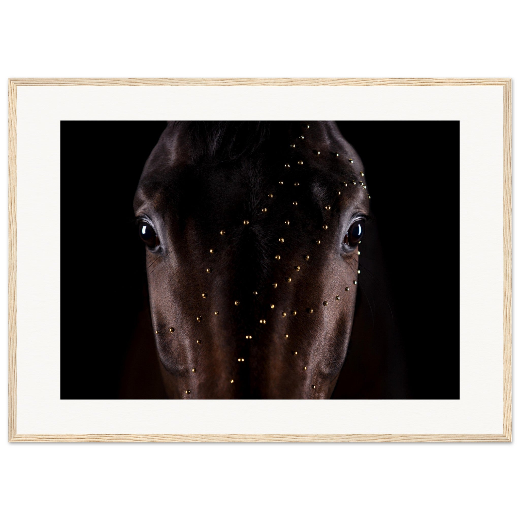 7b671c7d-df45-46a7-bf30-d9b75fa3a72f