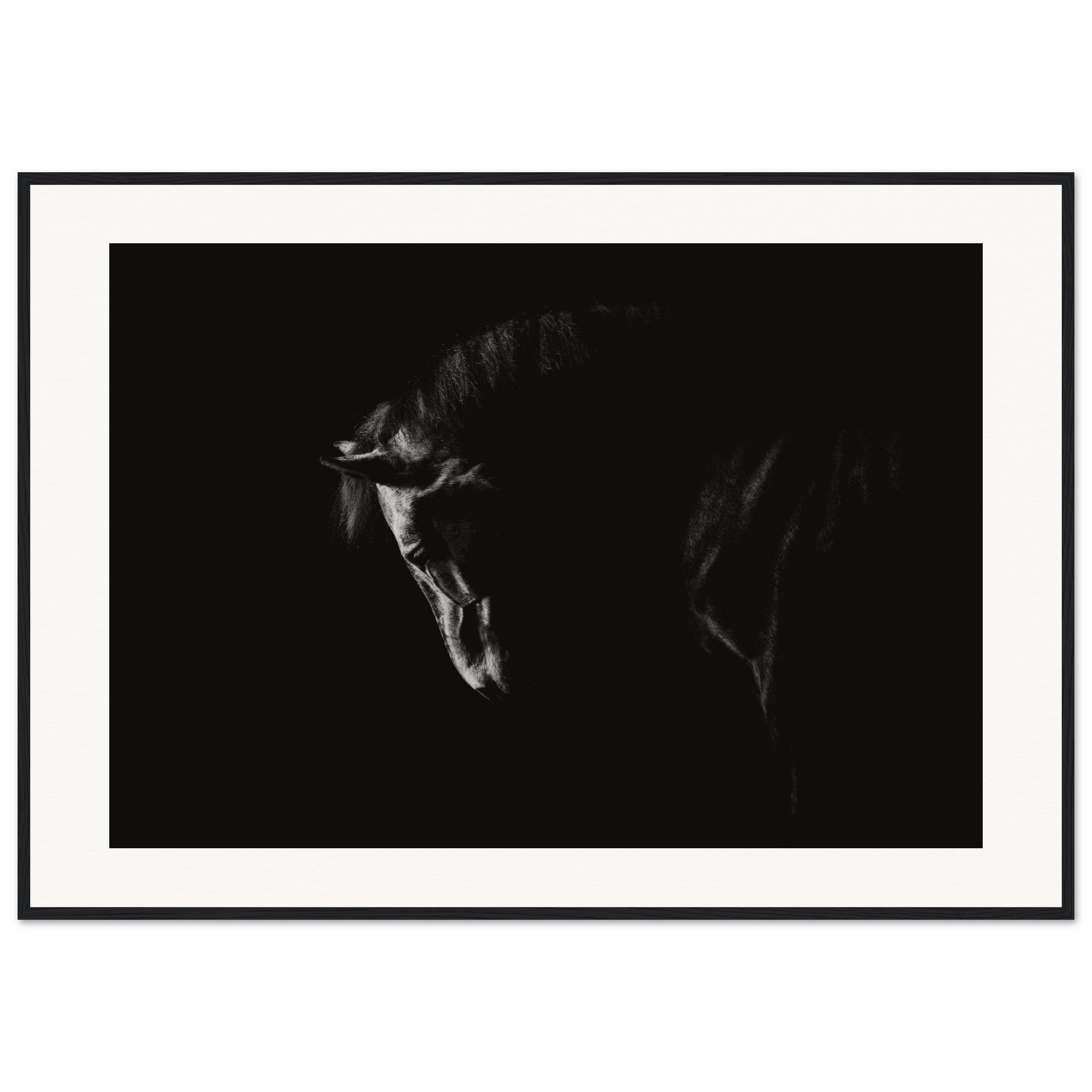 7b6a2c4e-ccdb-4083-a039-cd50d000ec29