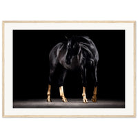 7bb878ff-2757-4988-ad75-283071ffc58a