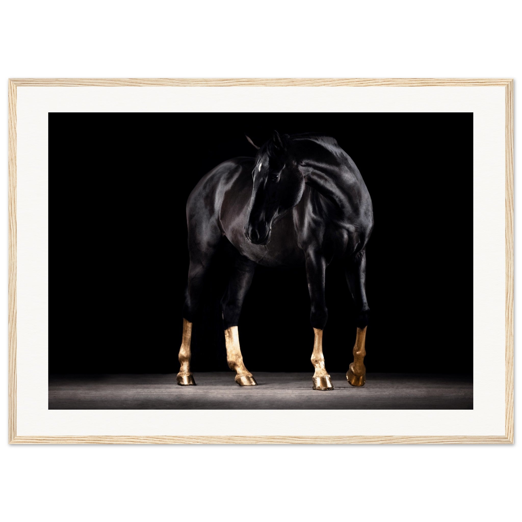 7bb878ff-2757-4988-ad75-283071ffc58a