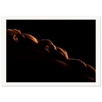 7bd83b37-0534-46b6-8047-1bfeb2c60305