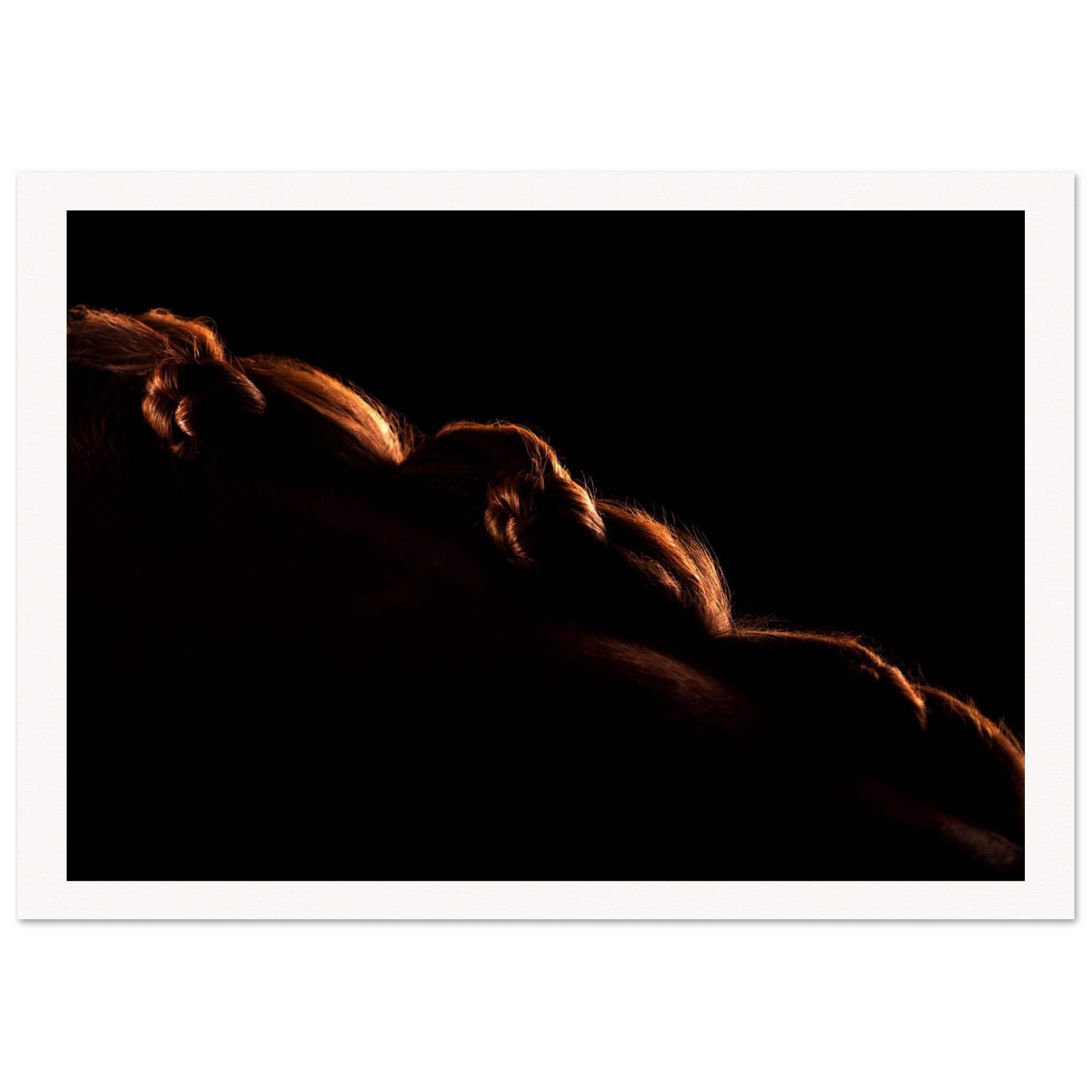 7bd83b37-0534-46b6-8047-1bfeb2c60305