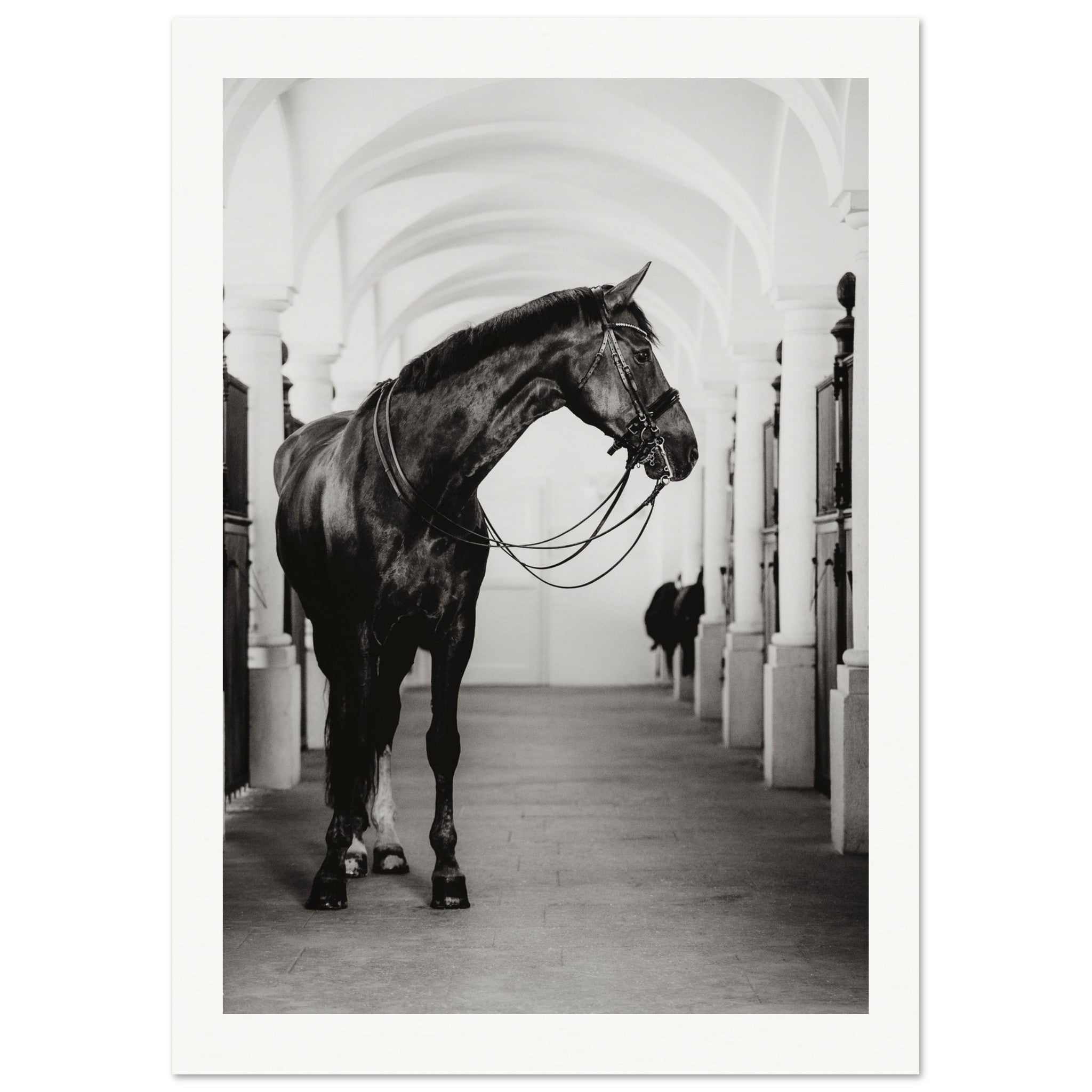 7bdd2e6b-79db-4c11-9f1b-e6ed938faede