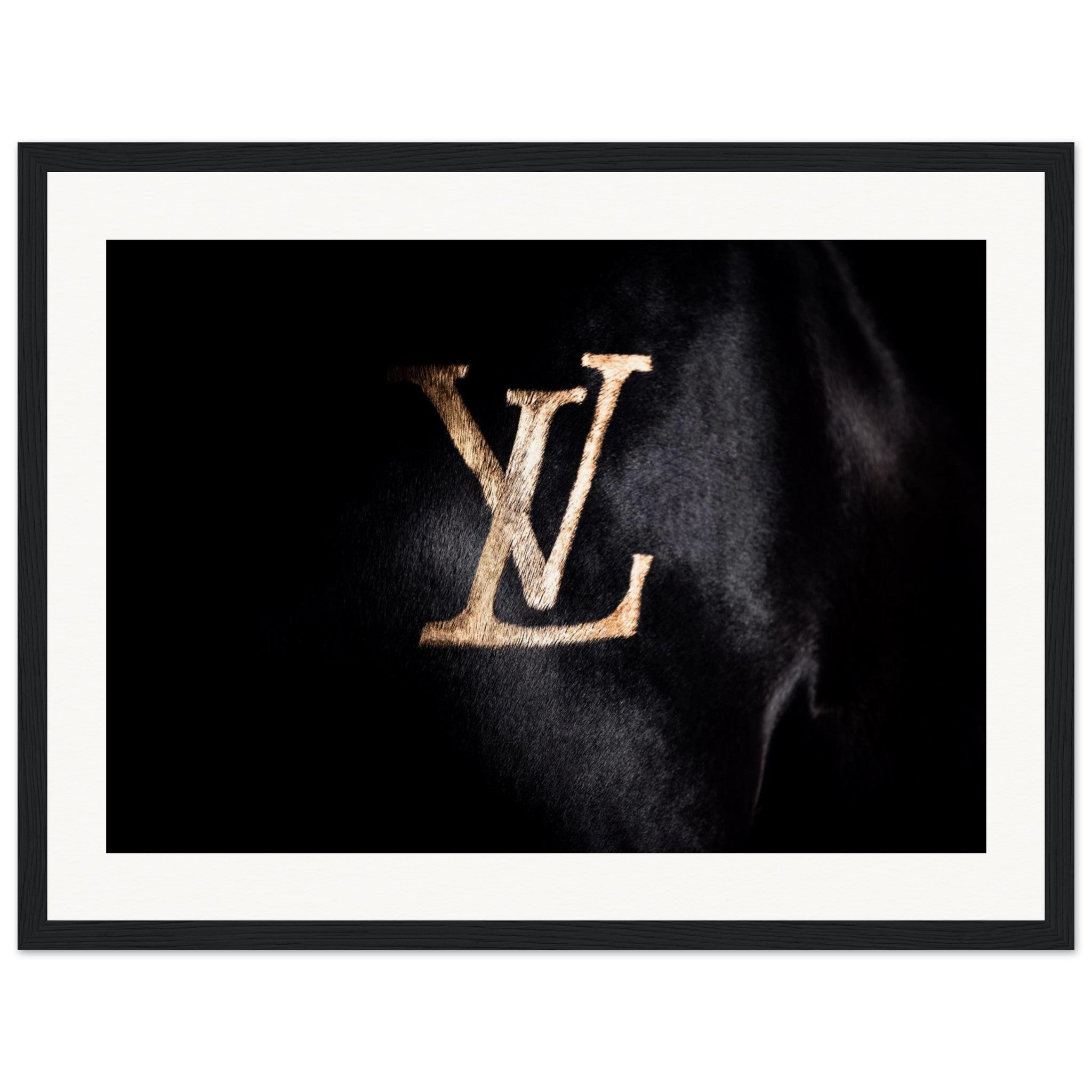 7bf6e0ad-c3a3-40ff-959d-b8818c27de4c