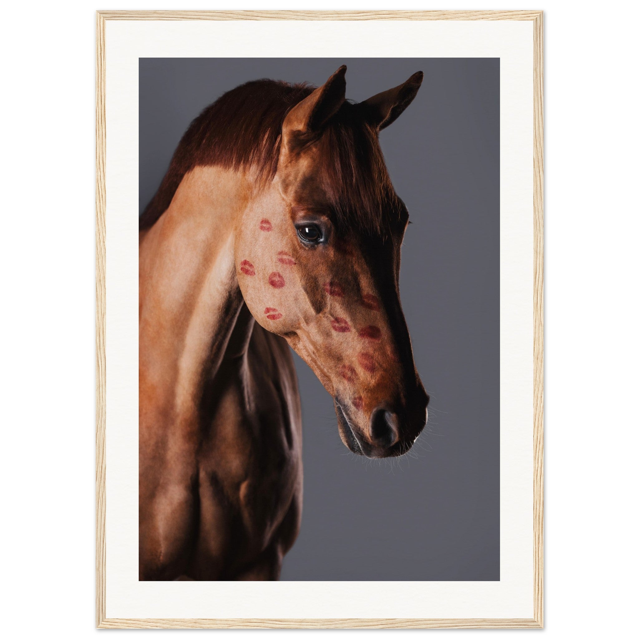 7c05b373-b620-4460-a9fa-32d894a98f18