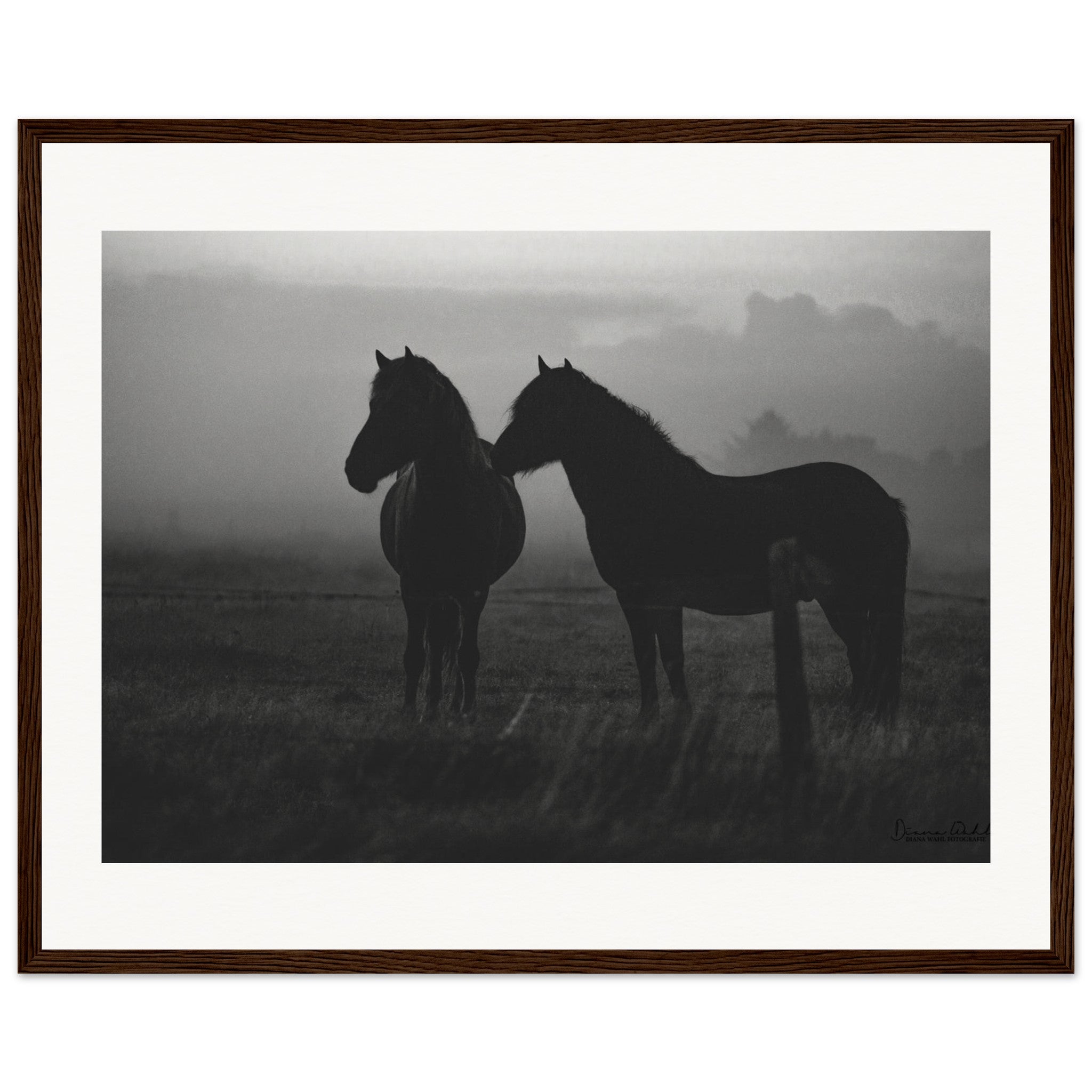 7c382ab8-f67c-47b1-8691-e438ffa6b20d