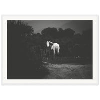 7ca6ca99-6680-42cd-9180-b01bc1afeac6