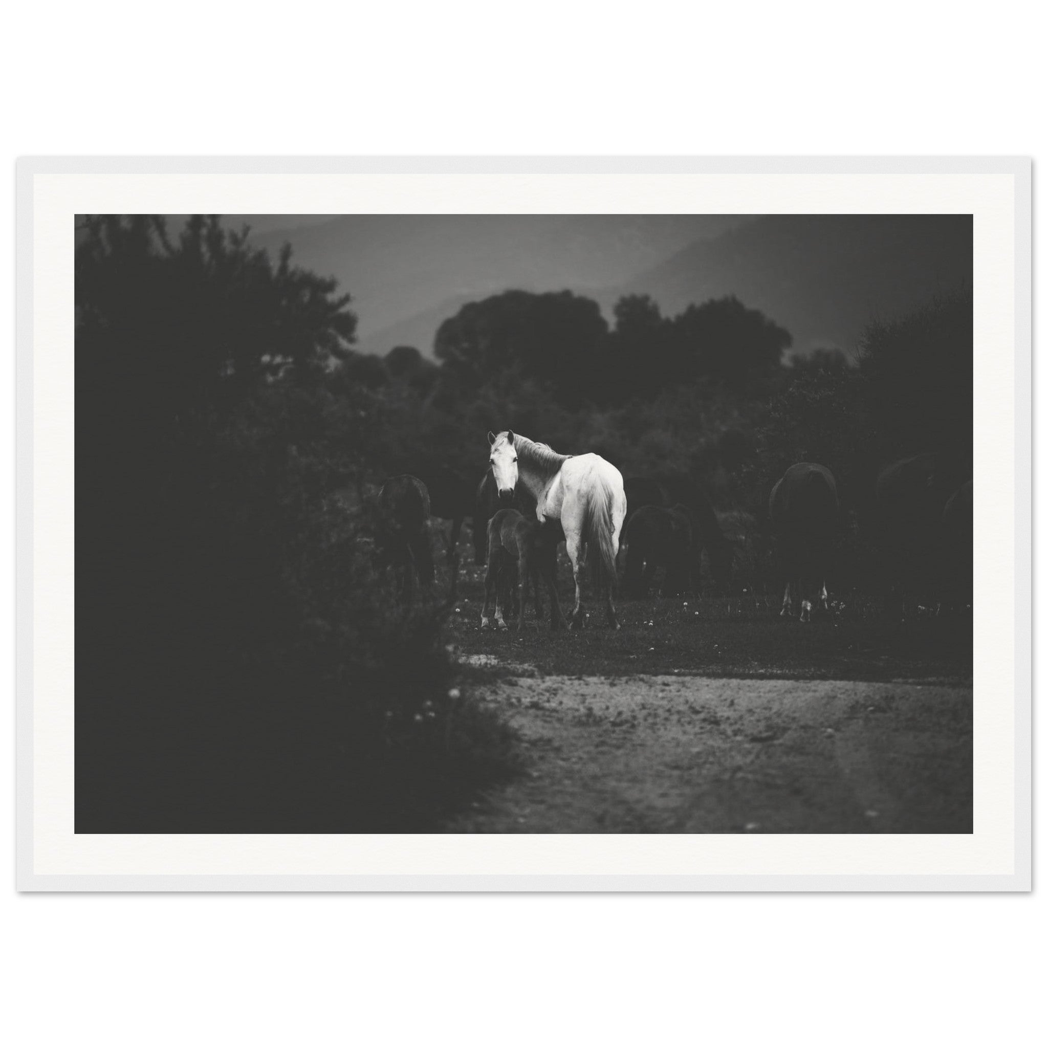 7ca6ca99-6680-42cd-9180-b01bc1afeac6