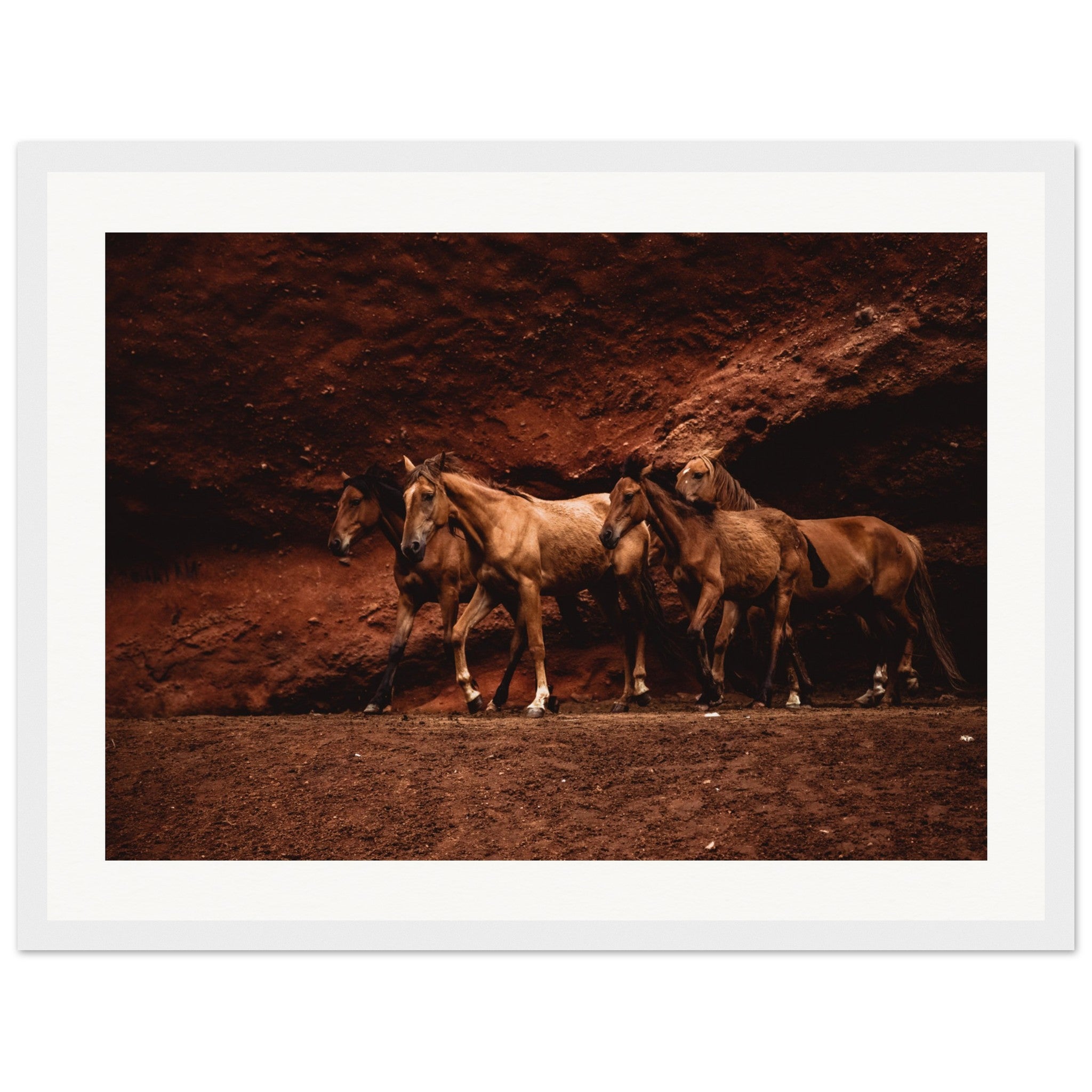 7cb54d02-7027-4149-837c-142bb65b1a95