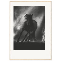 7cb823e1-ba35-4e9a-9a86-9377beeec946