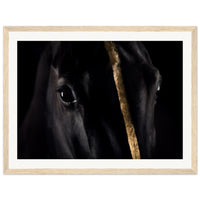 7cf41d9a-2bdb-40d4-9006-198b9b7ed19b