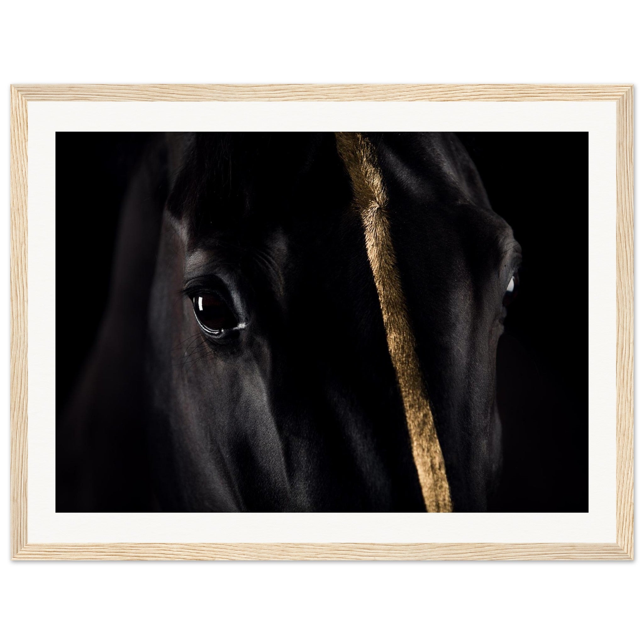 7cf41d9a-2bdb-40d4-9006-198b9b7ed19b