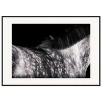 7d1ce482-6dd5-41c8-9f66-e1b77acd5655