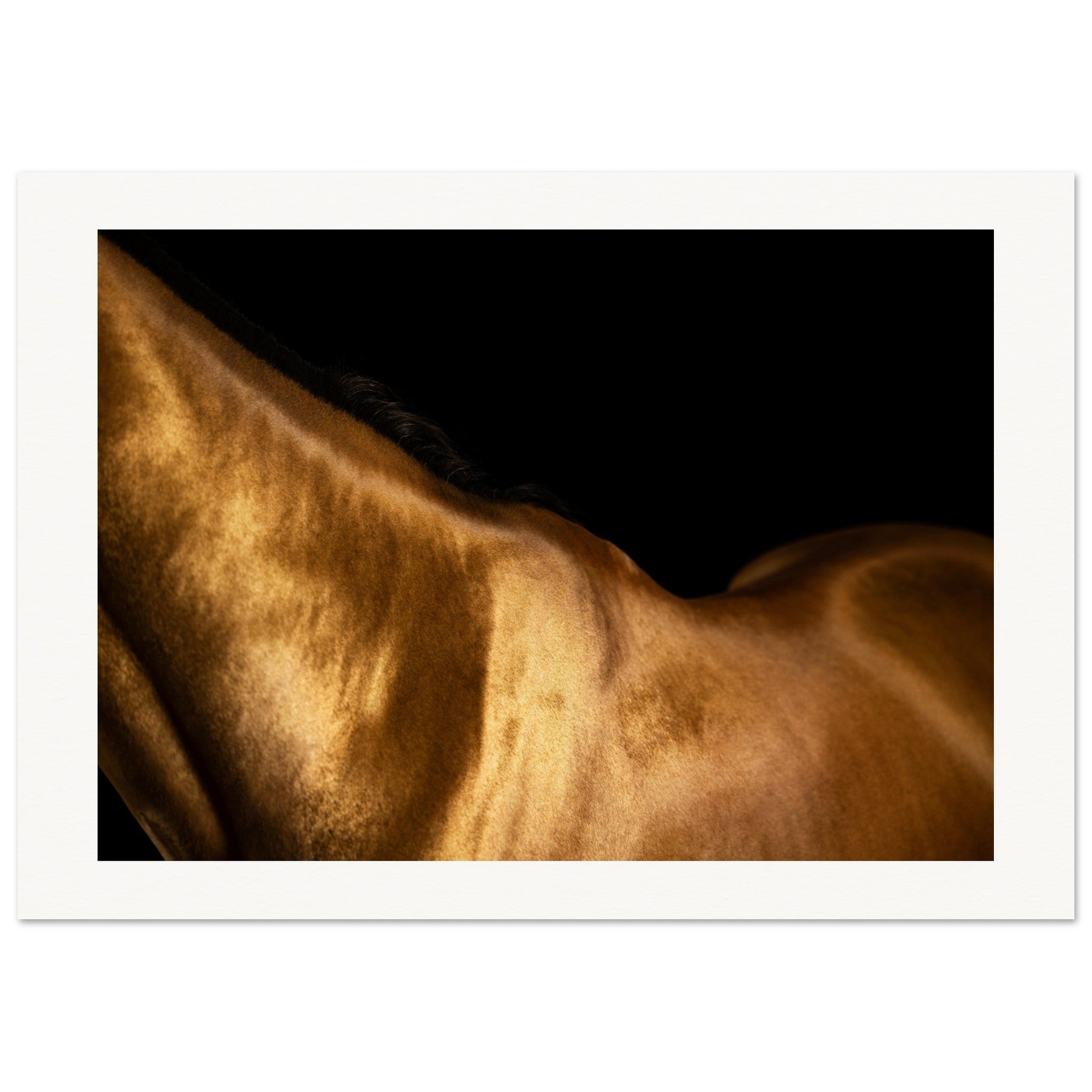 7d4a283b-348d-46bf-8b1a-1838f37e4f9a