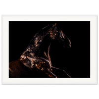 7d4fc17d-43c1-40f6-bc7f-13c4a408e202