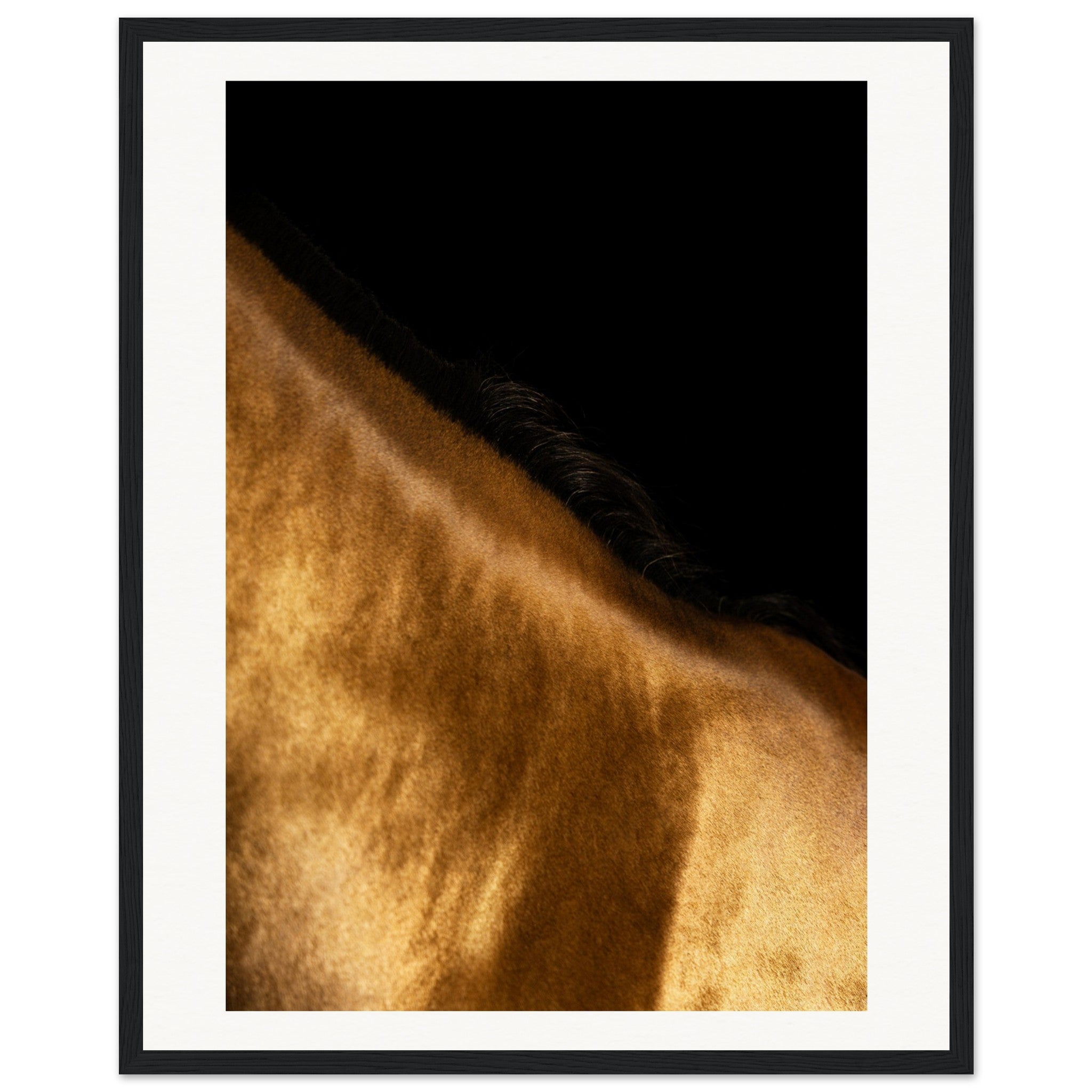 7d6f0aee-5500-4a87-8e20-e1e8afcdad97