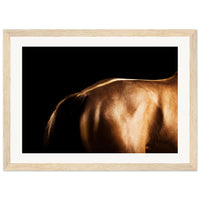 7d83aa8f-a1f7-418c-954d-f8fe0df34f1e