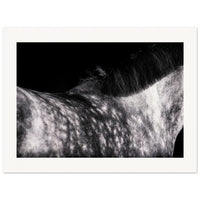 7e02757b-577a-4197-84a9-496f81734538