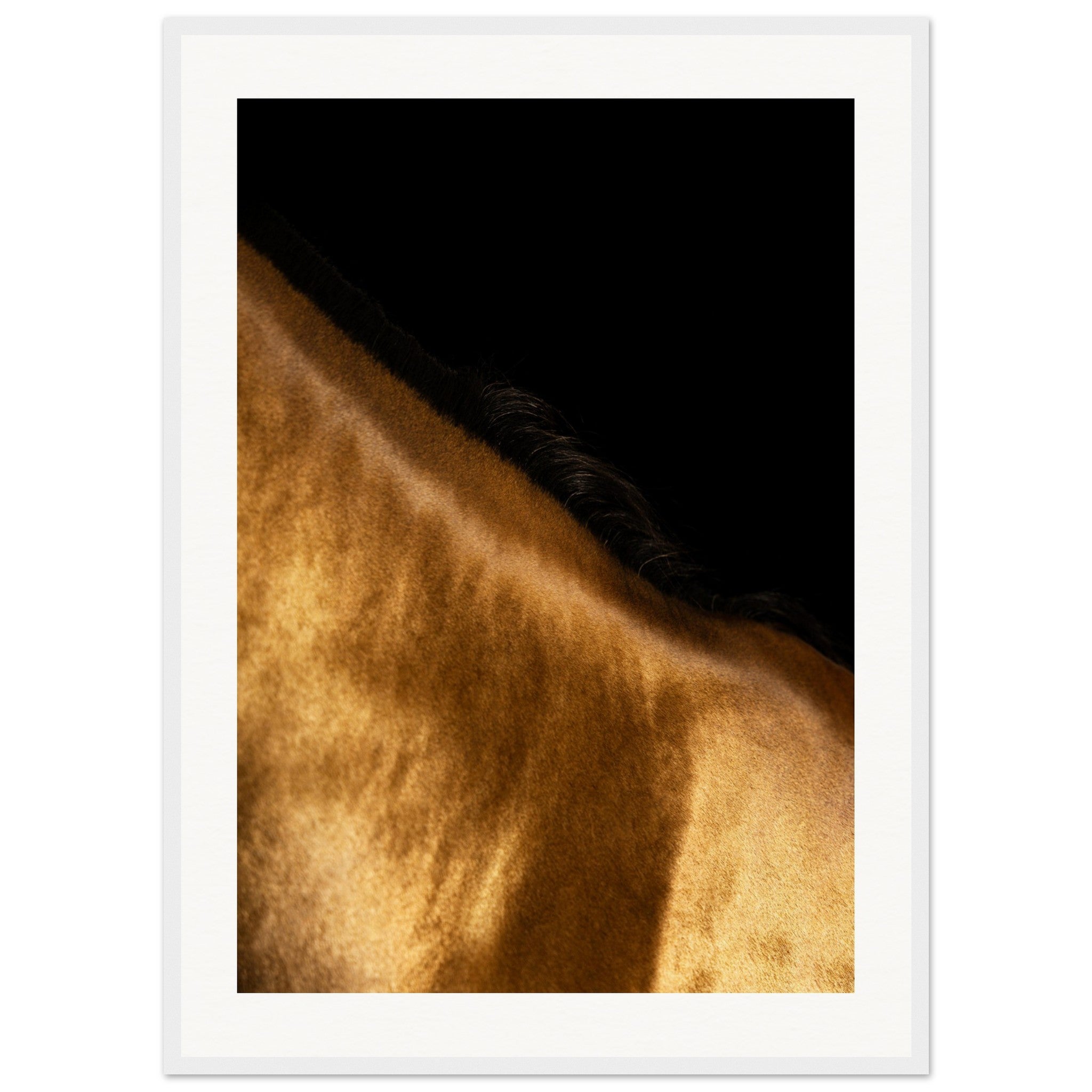 7ee72c2c-4ee3-4521-8e3d-dff29a773823