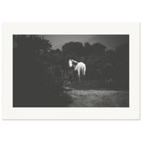 7f7d50ee-2c78-4254-bf5d-38bb6b8fdc59