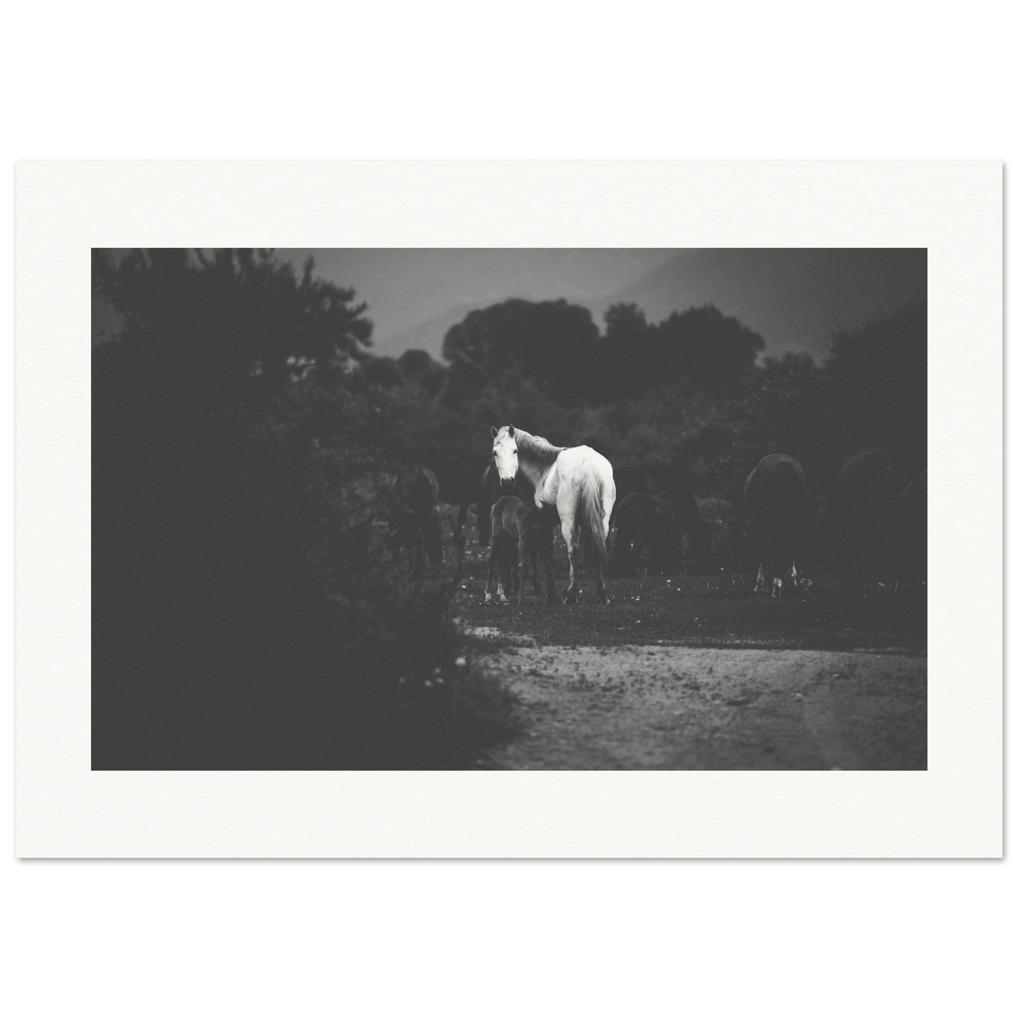 7f7d50ee-2c78-4254-bf5d-38bb6b8fdc59