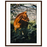 7fcd53d4-c7f1-47fe-80f7-39babea90259