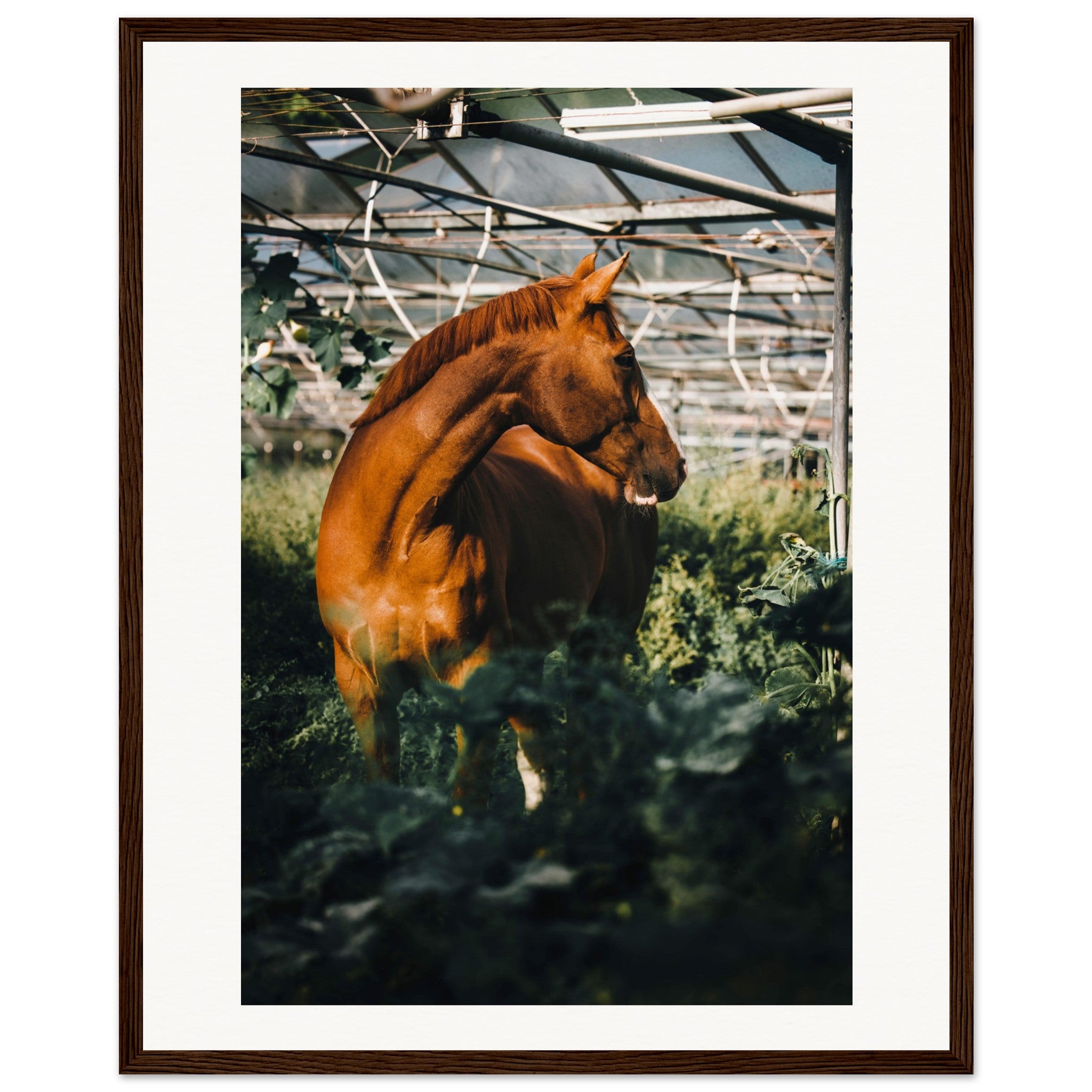 7fcd53d4-c7f1-47fe-80f7-39babea90259