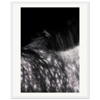 801617fc-dc51-4753-85af-7158b274ab11