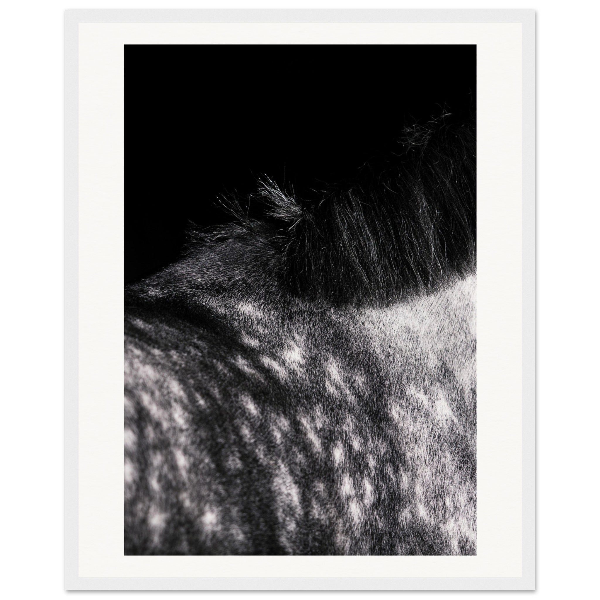 801617fc-dc51-4753-85af-7158b274ab11