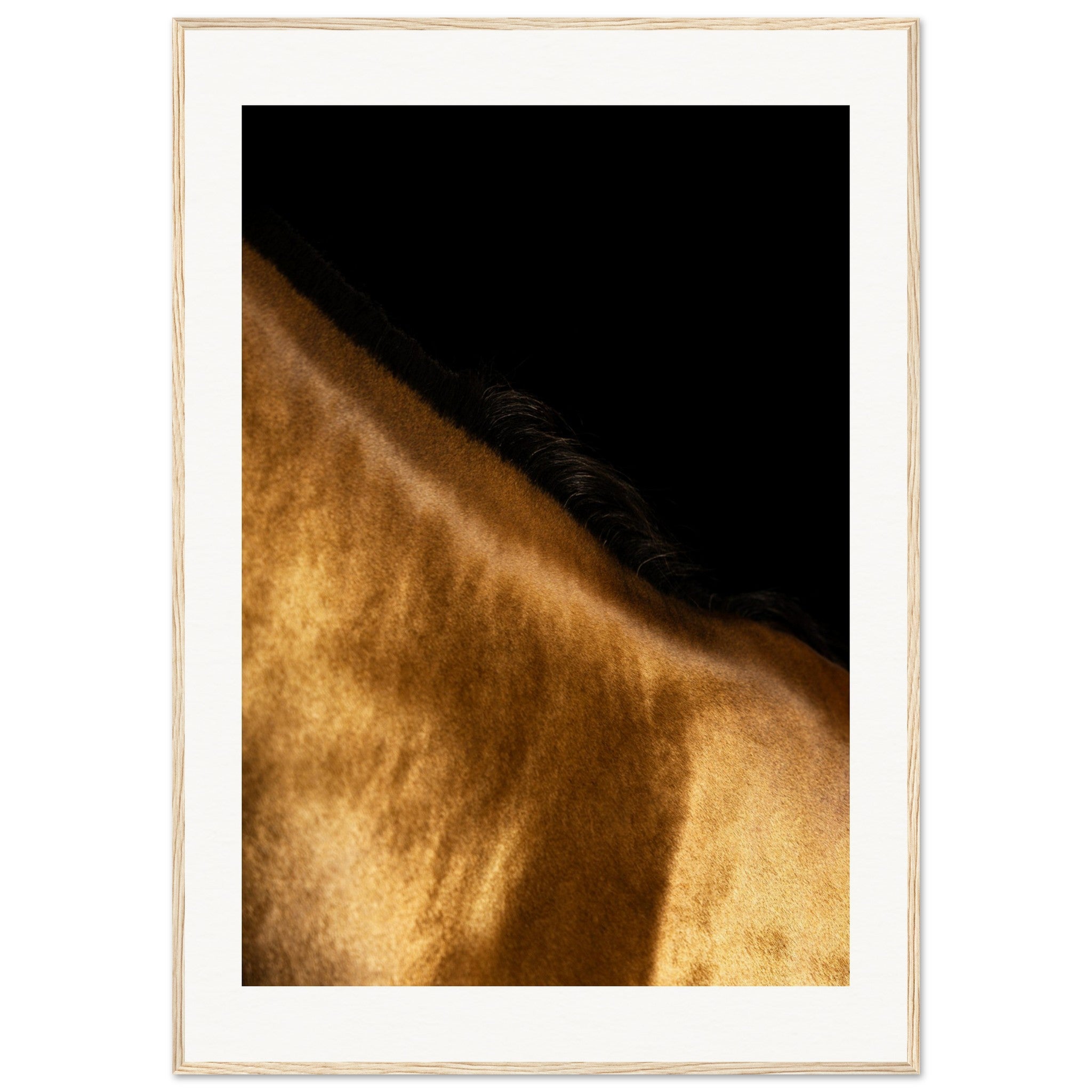 802eb7fb-2c4a-4813-859d-79aa3e3e9a4a