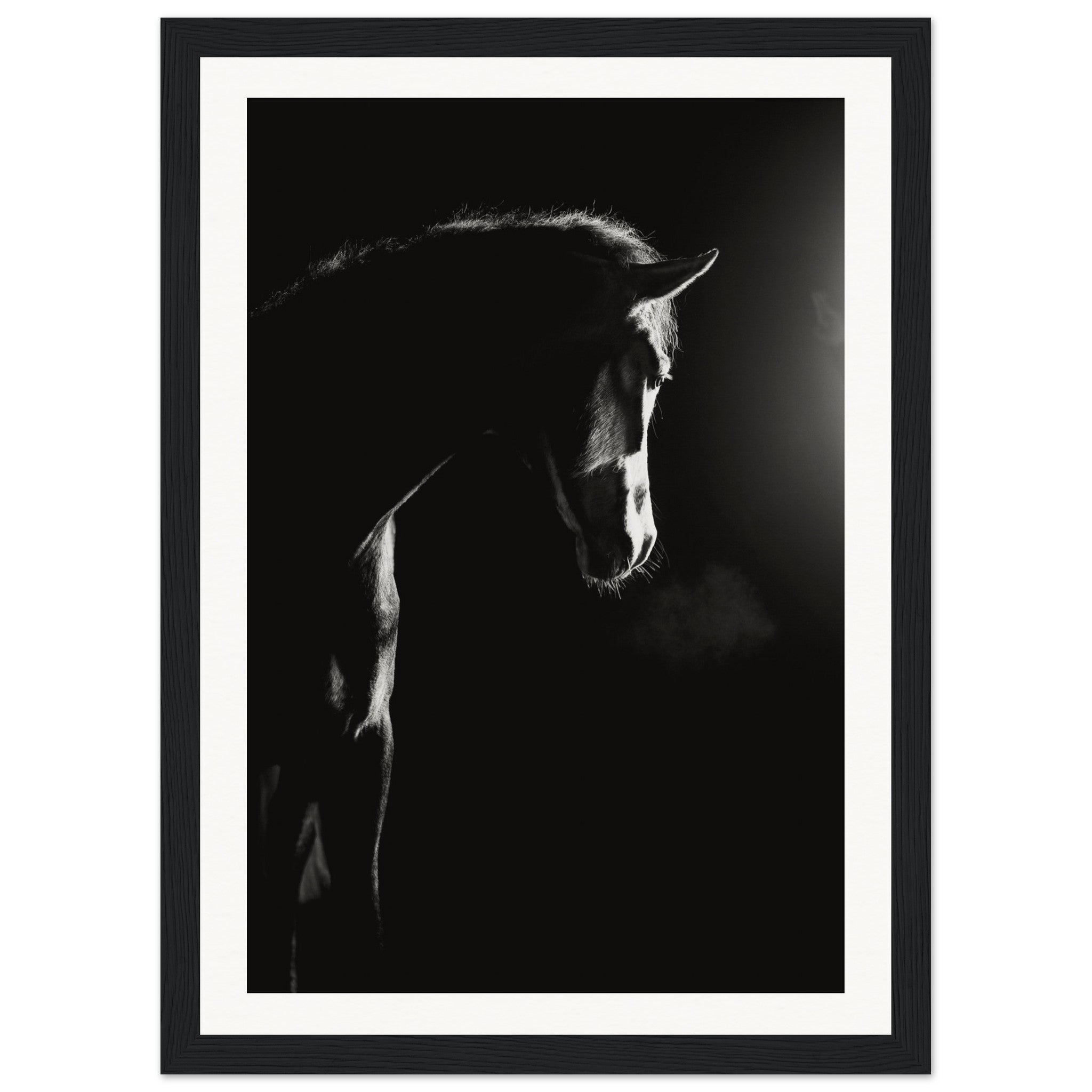 8046ffac-574d-4524-acbc-4fcf55cad10c