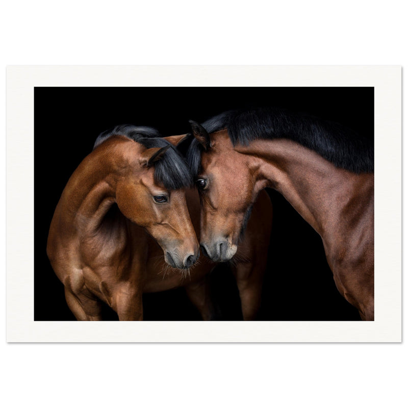 8089ab2b-140e-4cd0-bab4-90b9244a43d6