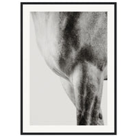 80b11e86-4d2b-4119-8c2f-74bb9d01f3c5