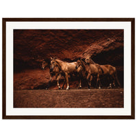 80e47b33-df2e-4fc4-87c0-786979aad1ce