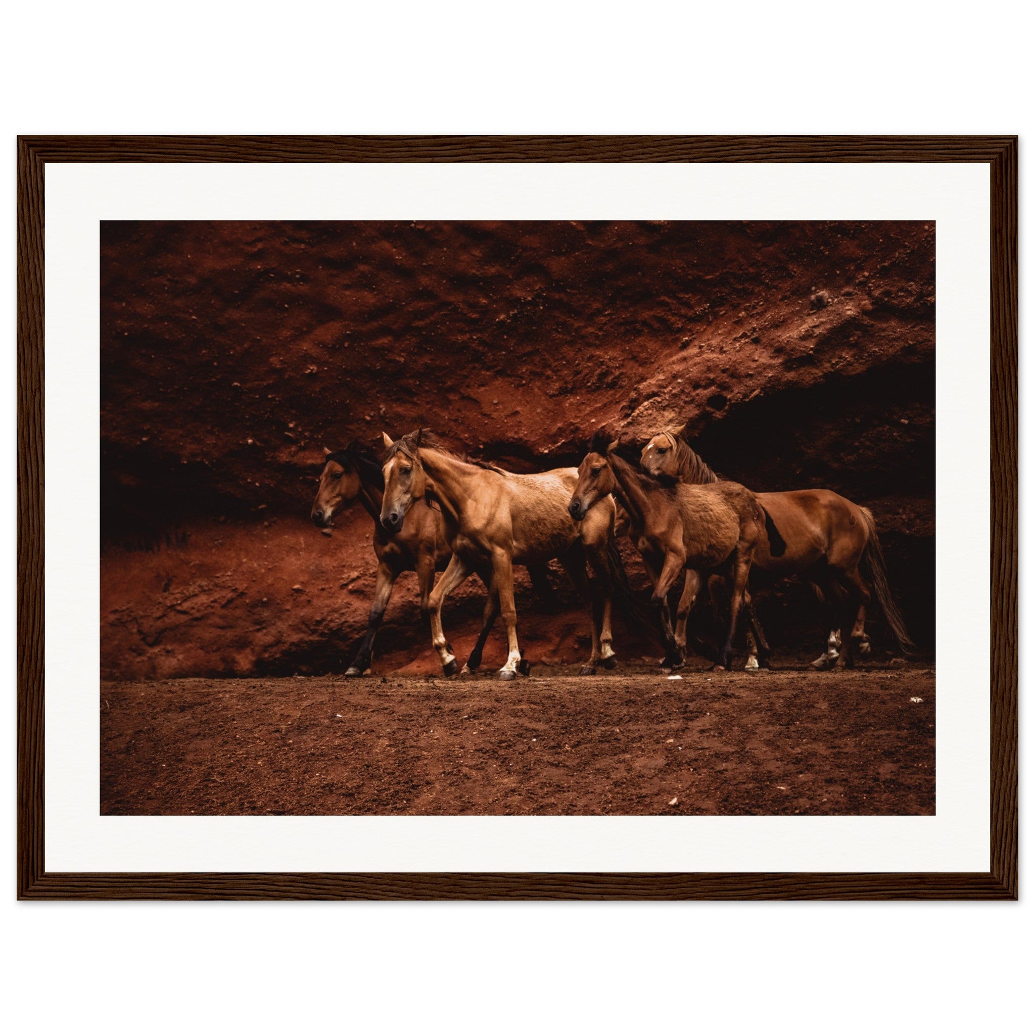 80e47b33-df2e-4fc4-87c0-786979aad1ce