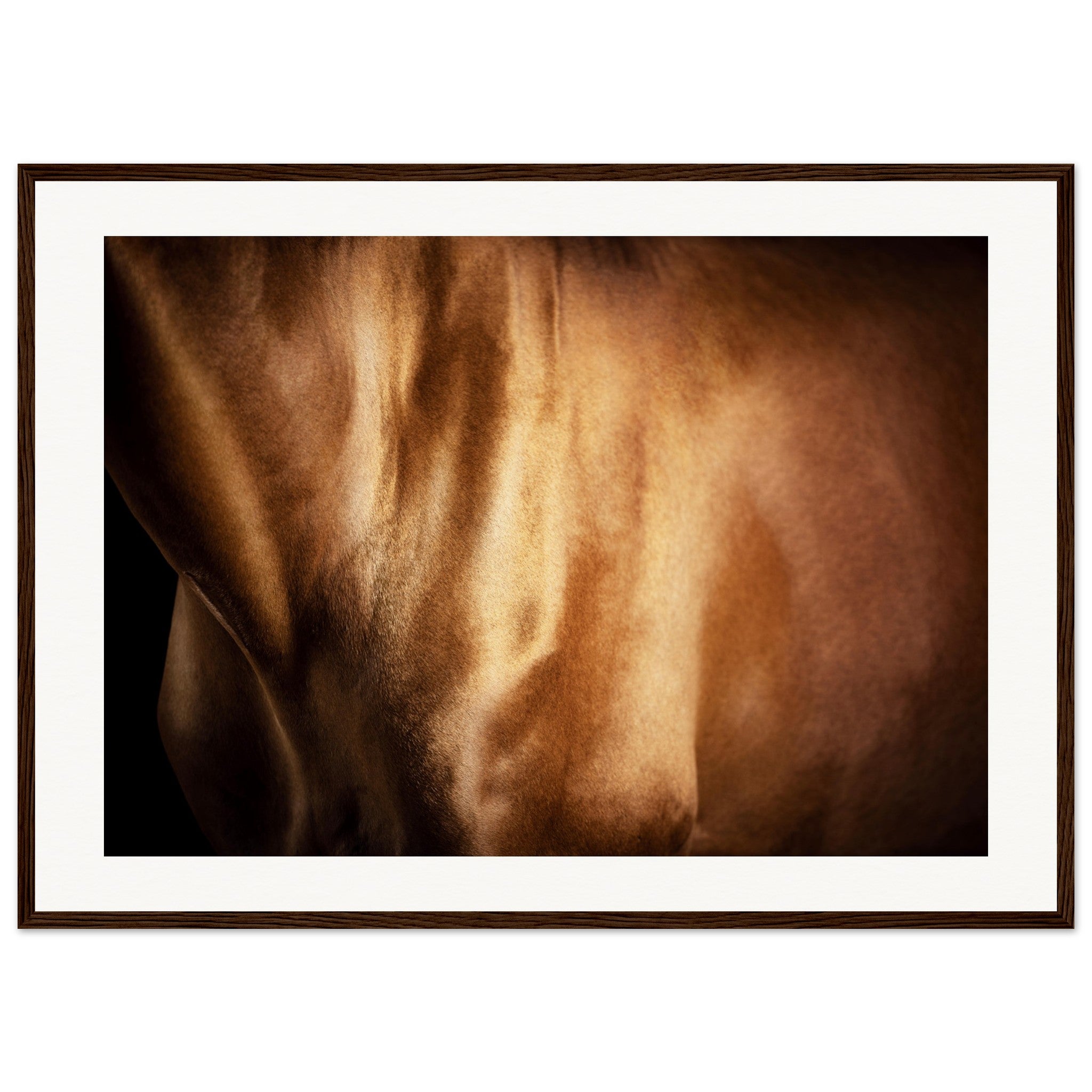 8139f7c9-6e44-47b5-a665-d21eb4aa2f4d