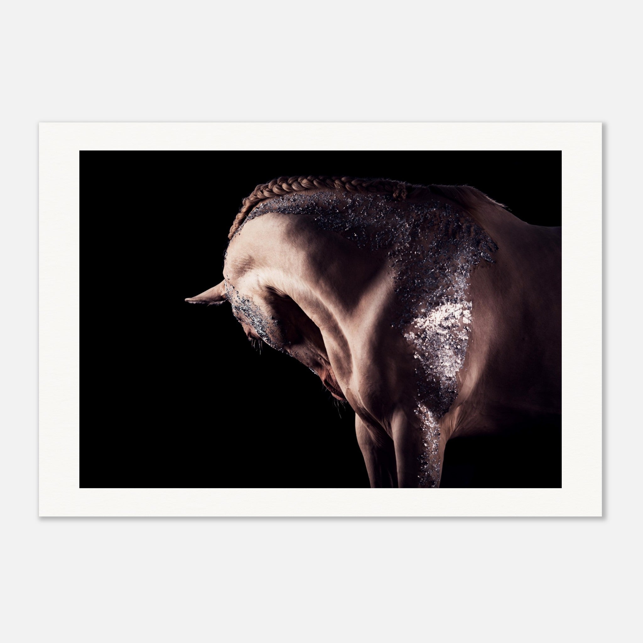 8161df34-fadf-4df6-a9b2-fd98ce8d4ba1