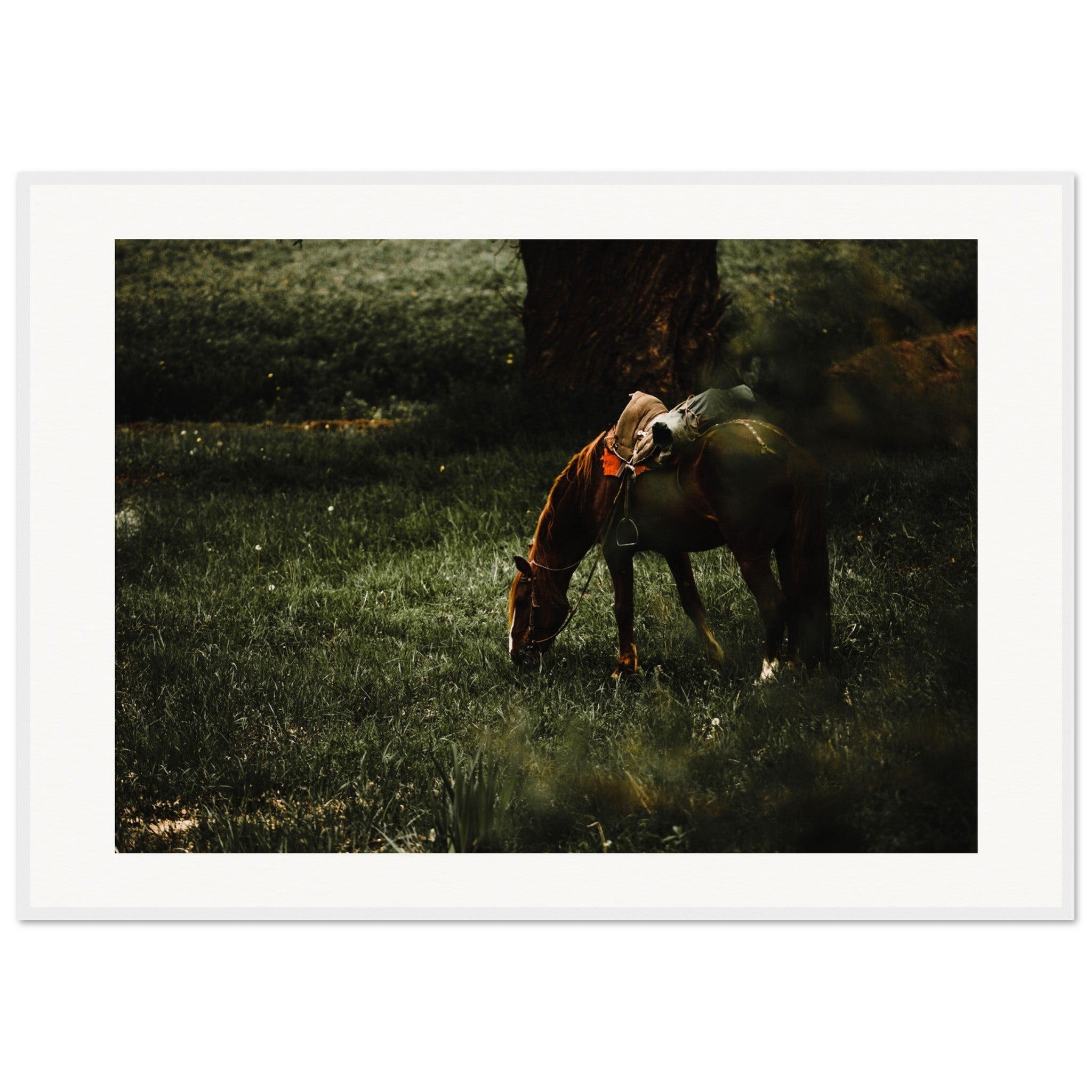 8177c4c7-32e0-4939-a361-79ea4b73731c