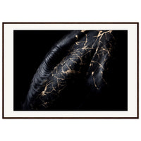 817f65fa-8695-4cb9-ba90-e1ed23792036