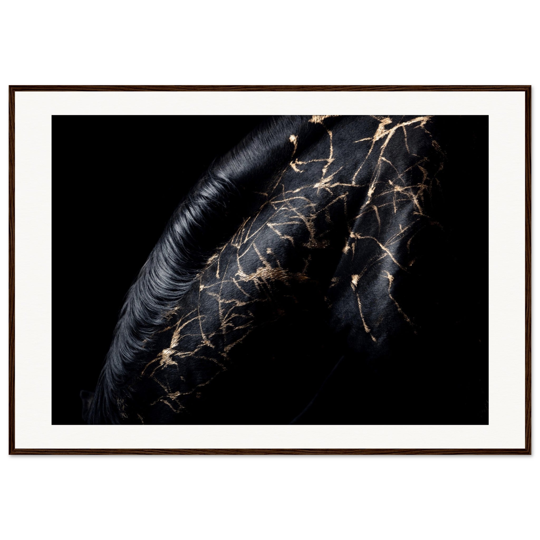 817f65fa-8695-4cb9-ba90-e1ed23792036