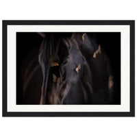 81c4a017-6d2e-4e98-a7ad-3d64811d6463